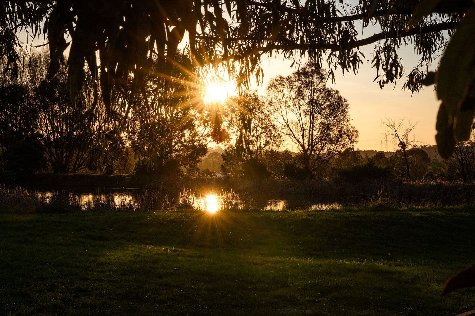 The dam at sunset through the gum trees