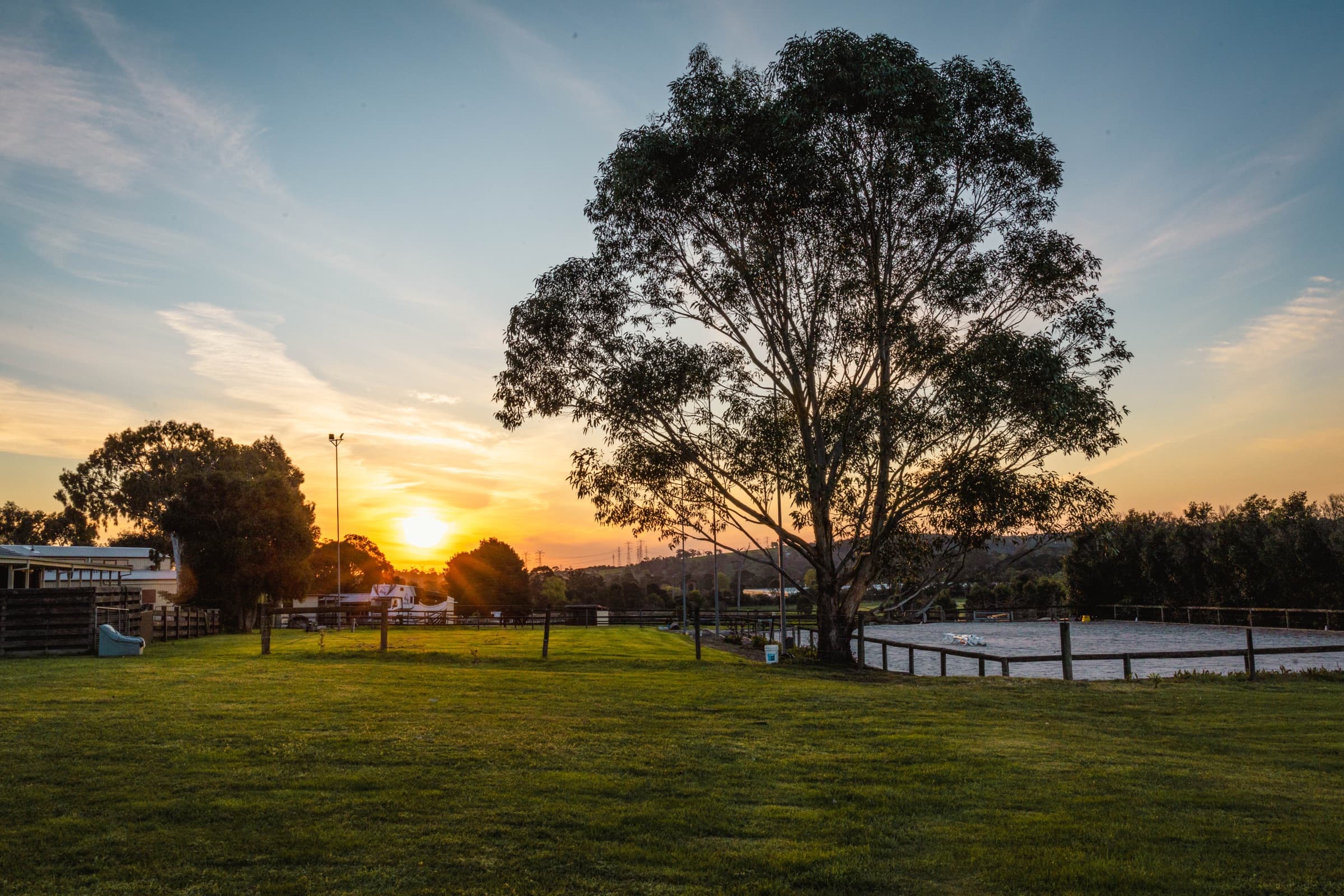 A river red gum at sunset over the paddocks of Pets E. Ternal Cemetery, Narre Warren North